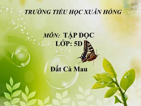 Bài giảng Địa lí Lớp 5 - Bài: Đất Cà Mau - Năm học 2023-2024 - Phan Thị Huyền