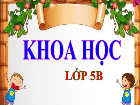 Bài giảng Khoa học Lớp 5 - Bài 17: Thái độ đối với người nhiễm HIV/AIDS - Năm học 2023-2024 - Phan Thị Ánh Tuyết