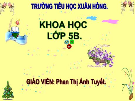 Bài giảng Khoa học Lớp 5 - Bài 18: Phòng tránh bị xâm hại - Năm học 2023-2024 - Phan Thị Ánh Tuyết