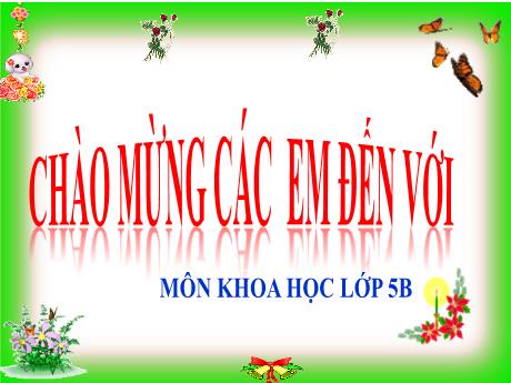 Bài giảng Khoa học Lớp 5 - Bài 22: Mây, tre , song - Năm học 2023-2024 - Phan Thị Ánh Tuyết