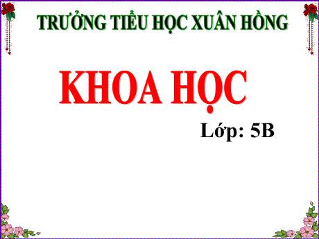 Bài giảng Khoa học Lớp 5 - Bài 24: Đồng và hợp kim của đồng - Năm học 2023-2024 - Phan Thị Ánh Tuyết