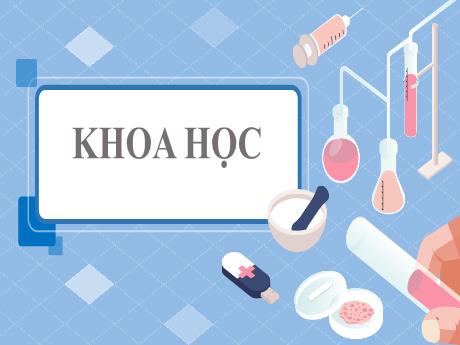 Bài giảng Khoa học Lớp 5 - Bài 26: Đá vôi - Năm học 2023-2024 - Phan Thị Ánh Tuyết