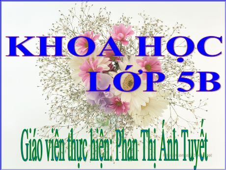 Bài giảng Khoa học Lớp 5 - Bài 31: Chất dẻo - Năm học 2023-2024 - Phan Thị Ánh Tuyết