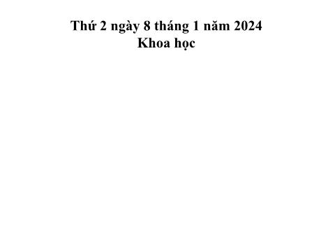Bài giảng Khoa học Lớp 5 - Bài 36: Hỗn hợp - Năm học 2023-2024 - Phan Thị Ánh Tuyết