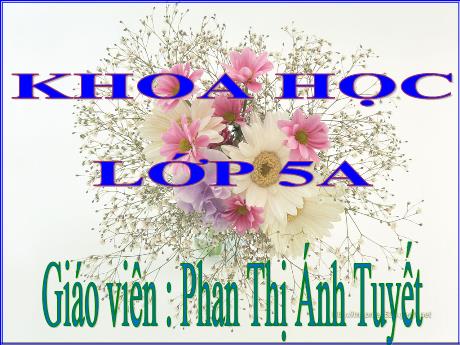 Bài giảng Khoa học Lớp 5 - Bài 37: Dung dịch - Năm học 2023-2024 - Phan Thị Ánh Tuyết