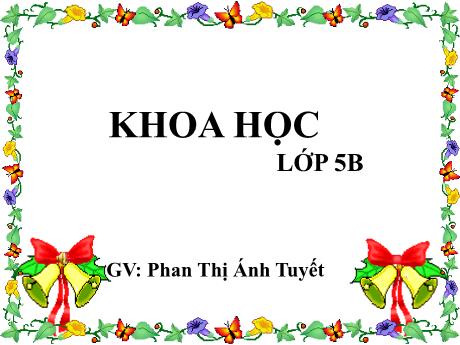 Bài giảng Khoa học Lớp 5 - Bài 52: Sự sinh sản của thực vật có hoa - Năm học 2023-2024 - Phan Thị Ánh Tuyết