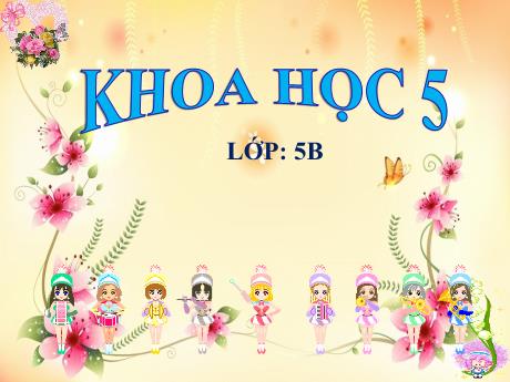 Bài giảng Khoa học Lớp 5 - Bài 54: Cây con mọc lên từ một số bộ phận của cây mẹ - Năm học 2023-2024 - Phan Thị Ánh Tuyết