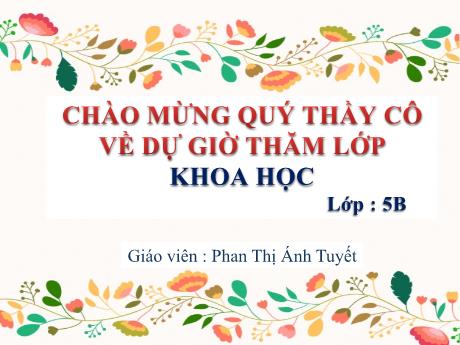 Bài giảng Khoa học Lớp 5 - Bài 55: Sự sinh sản của động vật - Năm học 2023-2024 - Phan Thị Ánh Tuyết