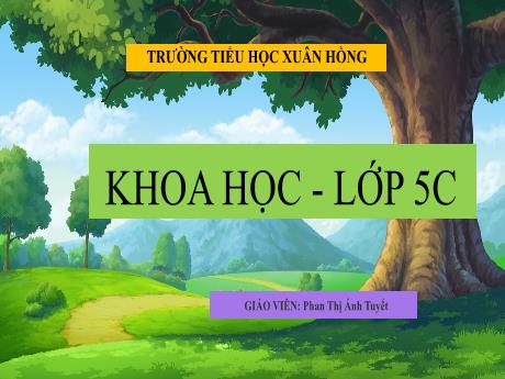Bài giảng Khoa học Lớp 5 - Bài 56: Sự sinh sản của côn trùng - Năm học 2023-2024 - Phan Thị Ánh Tuyết