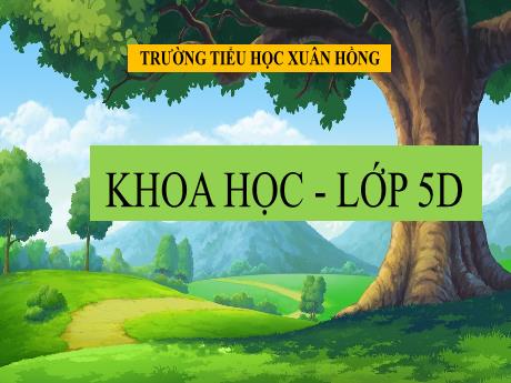 Bài giảng Khoa học Lớp 5 - Bài 56: Sự sinh sản của côn trùng - Phan Thị Huyền