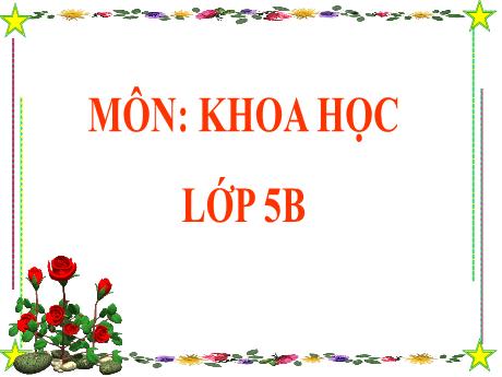 Bài giảng Khoa học Lớp 5 - Bài 58: Sự sinh sản và nuôi con của chim - Năm học 2023-2024 - Phan Thị Ánh Tuyết