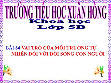 Bài giảng Khoa học Lớp 5 - Bài 64: Vai trò của môi trường tự nhiên đối với đời sống con người - Năm học 2023-2024 - Phan Thị Ánh Tuyết