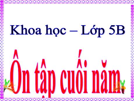 Bài giảng Khoa học Lớp 5 - Bài 70: Ôn tập cuối năm - Năm học 2023-2024 - Phan Thị Ánh Tuyết