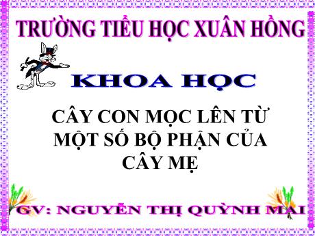 Bài giảng Khoa học Lớp 5 - Bài: Cây con mọc lên từ một số bộ phận của cây mẹ - Năm học 2023-2024 - Hoàng Thị Huệ