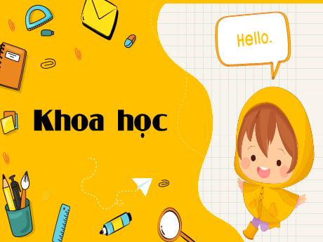 Bài giảng Khoa học Lớp 5 - Bài: Chất dẻo - Nguyễn Thị Mỹ Linh
