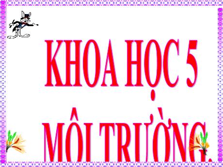 Bài giảng Khoa học Lớp 5 - Bài: Môi trường - Phan Thị Huyền
