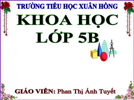 Bài giảng Khoa học Lớp 5 - Bài: Ôn tập: Vật chất và năng lượng (Tiết 2) - Năm học 2023-2024 - Phan Thị Ánh Tuyết