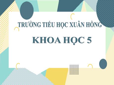 Bài giảng Khoa học Lớp 5 - Bài: Phòng tránh bị xâm hại - Năm học 2023-2024 - Hoàng Thị Huệ