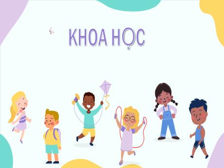 Bài giảng Khoa học Lớp 5 - Bài: Phòng tránh bị xâm hại - Nguyễn Thị Mỹ Linh