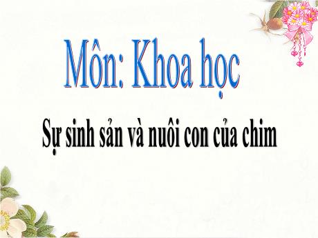 Bài giảng Khoa học Lớp 5 - Bài: Sự sinh sản và nuôi con của chim - Năm học 2023-2024 - Hoàng Thị Huệ