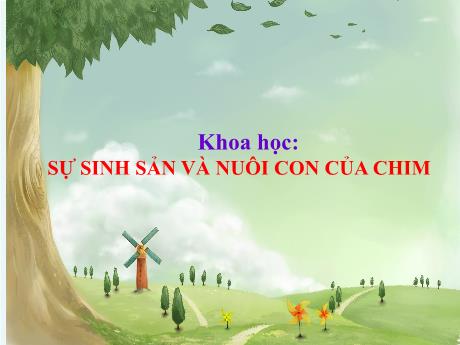 Bài giảng Khoa học Lớp 5 - Bài: Sự sinh sản và nuôi con của chim - Phan Thị Huyền