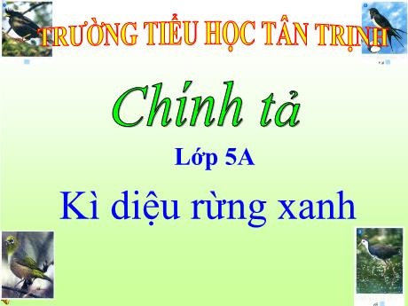 Bài giảng Tiếng Việt Lớp 5 (Chính tả) - Tuần 8, Bài: Kì diệu rừng xanh - Năm học 2023-2024 - Phan Thị Ánh Tuyết