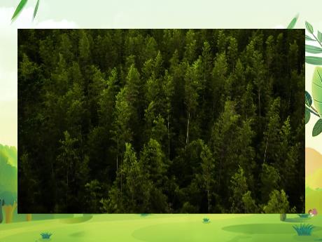 Bài giảng Tiếng Việt Lớp 5 (Tập đọc) - Bài: Cao Bằng (Trúc Thông) - Nguyễn Thị Mỹ Linh