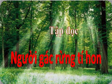Bài giảng Tiếng Việt Lớp 5 (Tập đọc) - Bài: Người gác rừng tí hon - Phan Thị Huyền