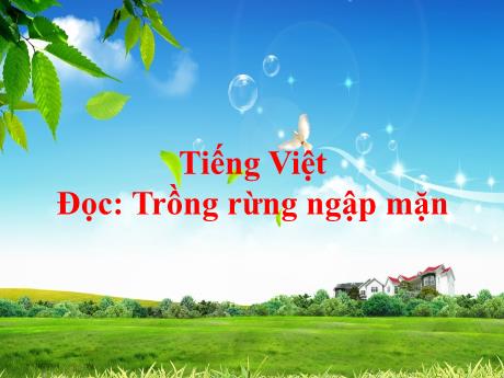 Bài giảng Tiếng Việt Lớp 5 (Tập đọc) - Bài: Trồng rừng ngập mặn - Nguyễn Thị Mỹ Linh