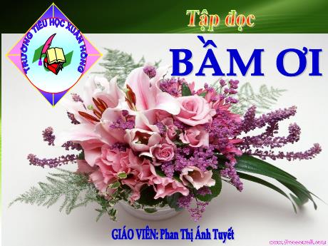 Bài giảng Tiếng Việt Lớp 5 (Tập đọc) - Tuần 31, Bài: Bầm ơi (Trích - Tố Hữu) - Năm học 2023-2024 - Phan Thị Ánh Tuyết