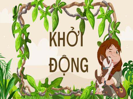 Bài giảng Toán Lớp 5 - Bài: Giới thiệu biểu đồ hình quạt - Nguyễn Thị Mỹ Linh