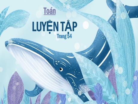 Bài giảng Toán Lớp 5 - Bài: Luyện tập (Trang 54) - Nguyễn Thị Mỹ Linh